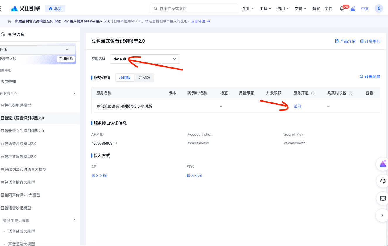 View the selected app and authentication fields in the legacy Doubao console