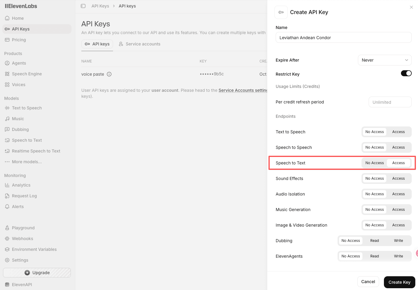 Allow Speech to Text access when creating an ElevenLabs API key